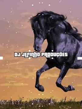 ⁣David Guetta & Avicii - Lovers On The Sun - VERSÃO FORRÓ DE VAQUEJADA - DJ JEFINHO!